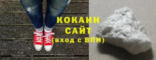 прущий лед Алзамай