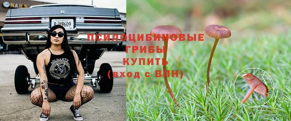 прущий лед Алзамай