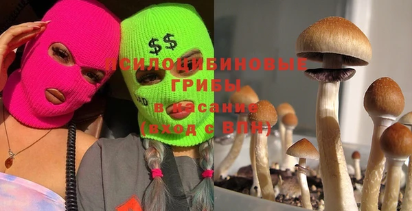 хмурый Алексин