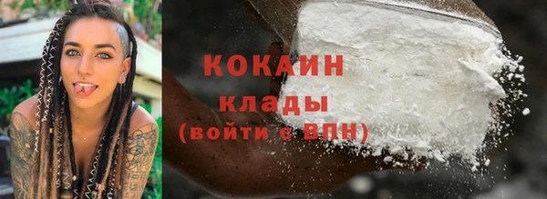 хмурый Алексин